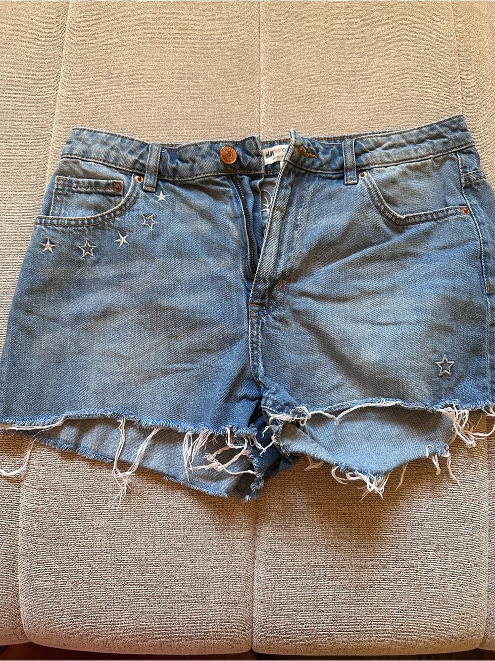 H&M Coachella daydreamer  Embroidered Hi Rise Shorts Sz 12